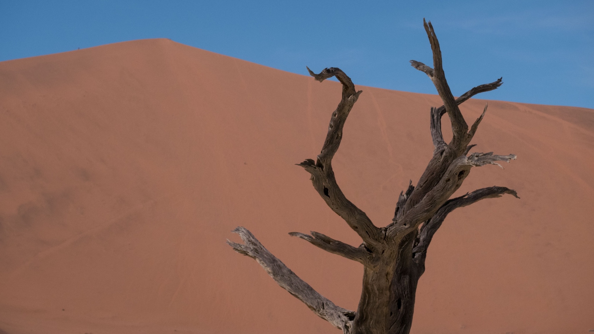 Désert du Namib